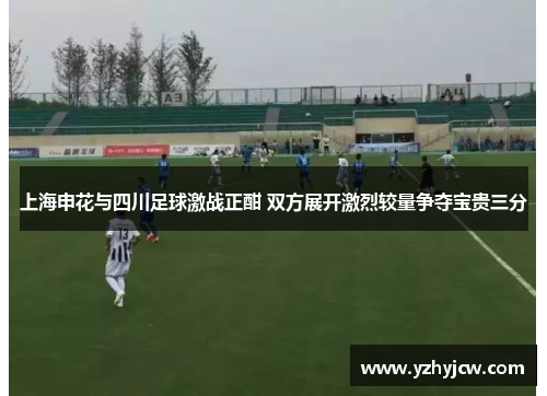 上海申花与四川足球激战正酣 双方展开激烈较量争夺宝贵三分