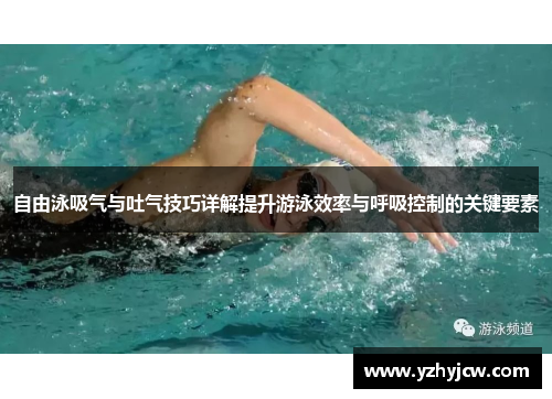 自由泳吸气与吐气技巧详解提升游泳效率与呼吸控制的关键要素