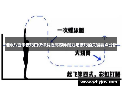 蛙泳八百米技巧口诀详解提高游泳耐力与技巧的关键要点分析